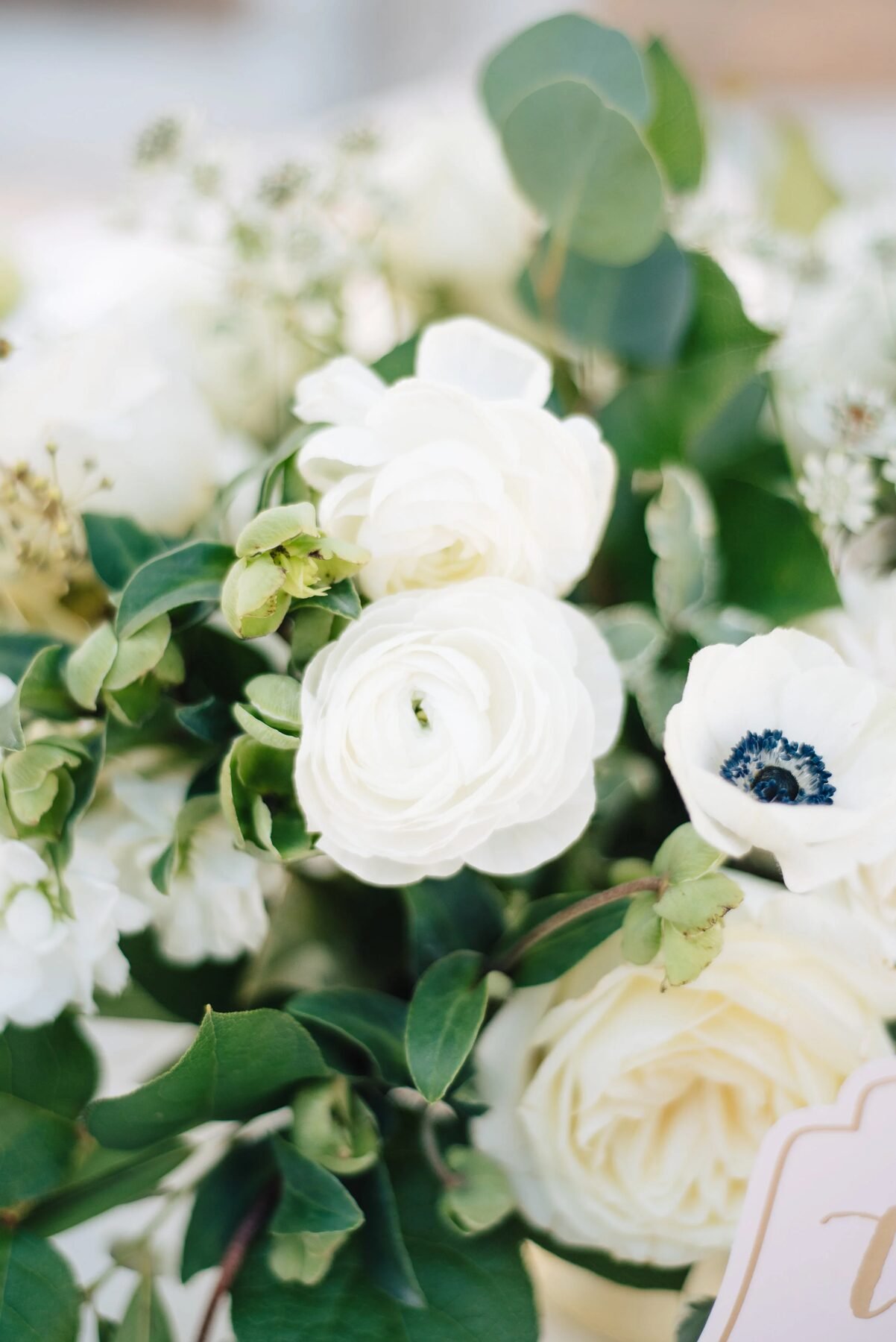 Tight botanical macro of white ranunculus, navy-center anemones and eucalyptus